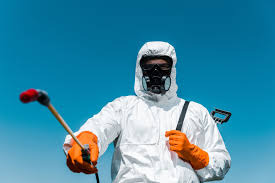 Real Estate Pest Inspections in Roosevelt Gardens, FL